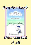 Pug At The Beach book